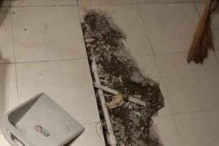 岑巩卫生间漏水检测电话